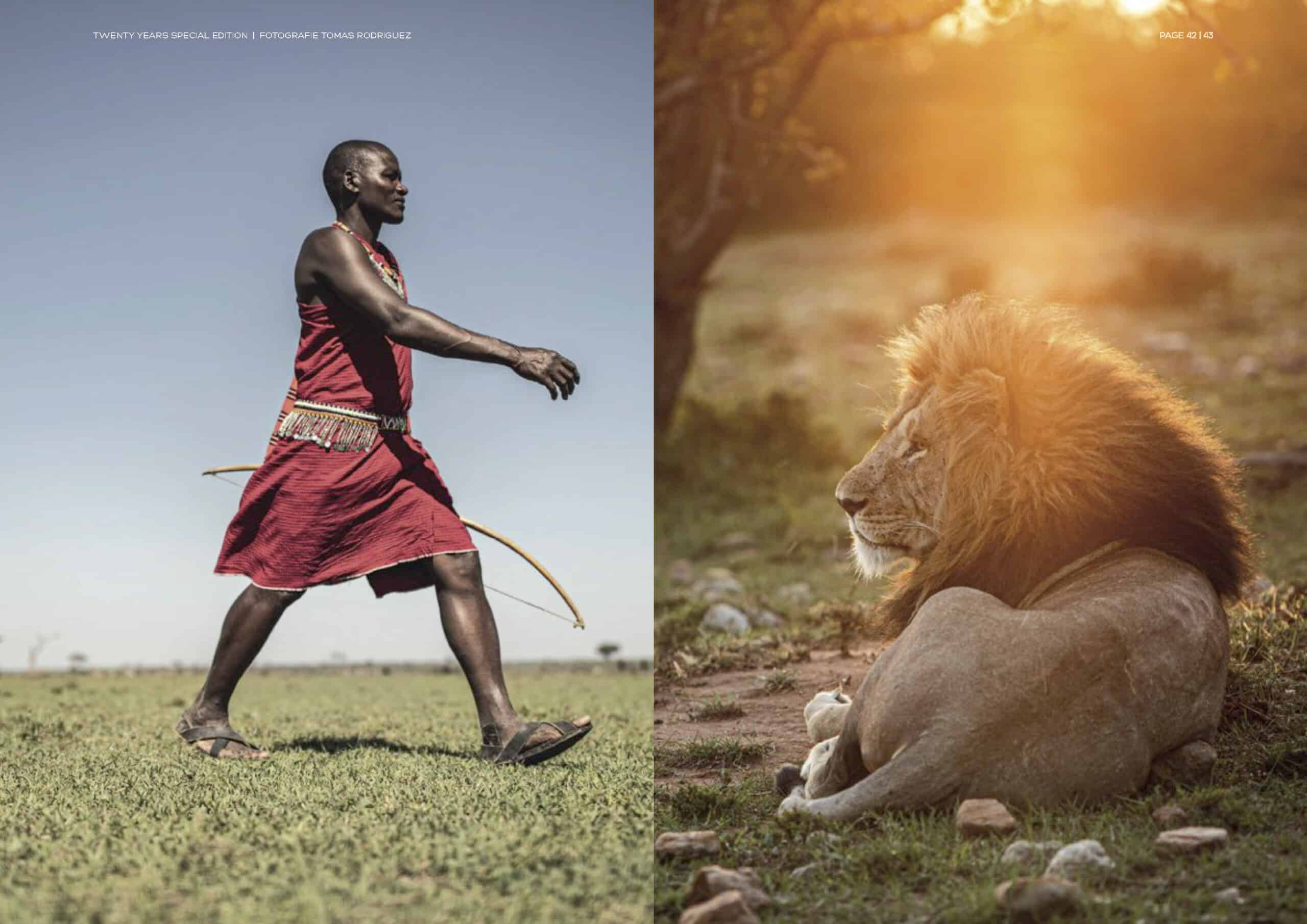 Links läuft ein Massai-Mann in traditioneller roter Kleidung mit einem Bogen in der Hand über eine Wiese, und rechts sitzt ein majestätischer Löwe unter einem Baum, durch den das Sonnenlicht fällt. © Fotografie Tomas Rodriguez