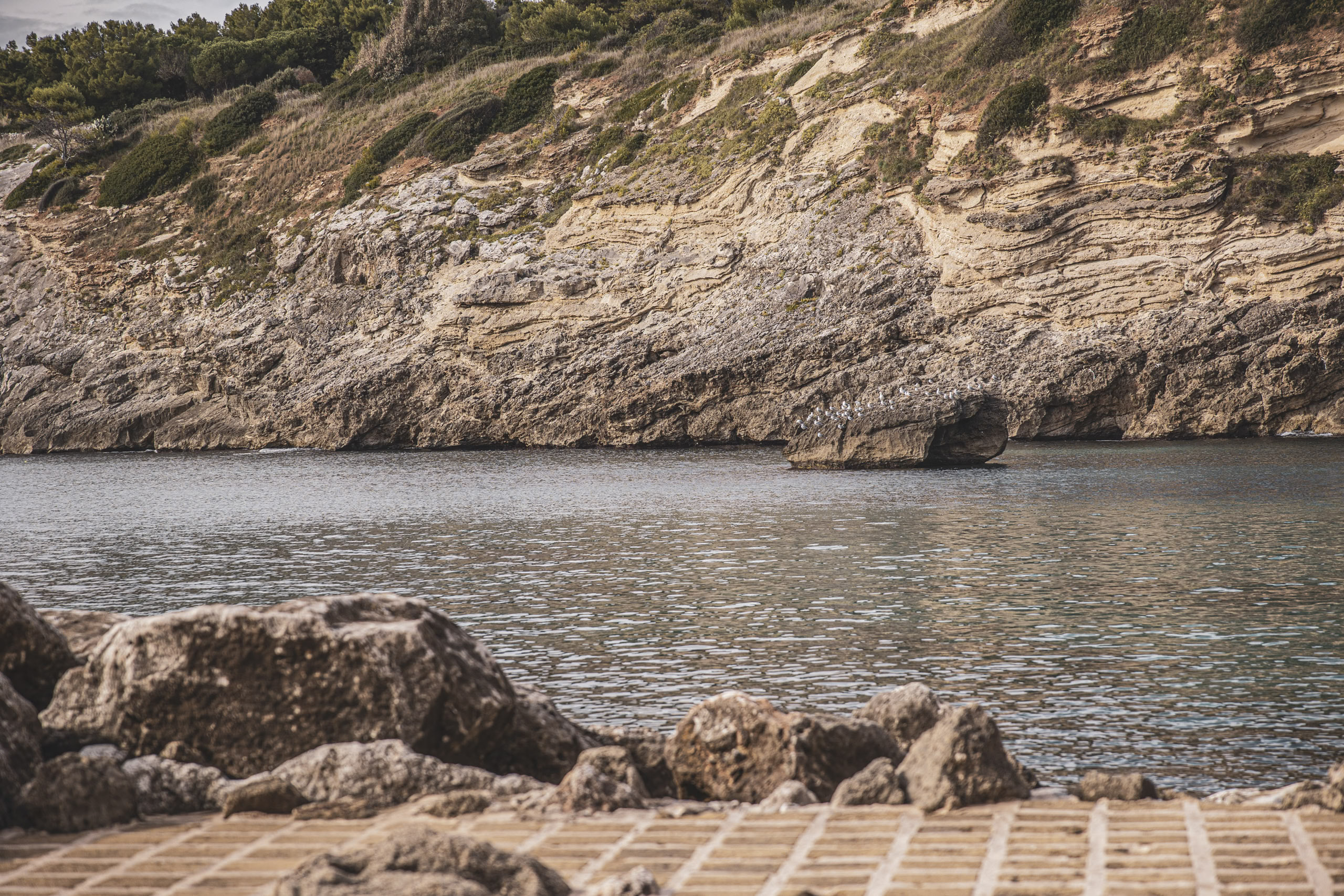 Eine ruhige Küstenszene mit glitzerndem Wasser im Vordergrund und geschichteten, felsigen Klippen mit üppigem Grün im Hintergrund. Ein sichtbarer Holzsteg führt zum Wasser. © Fotografie Tomas Rodriguez