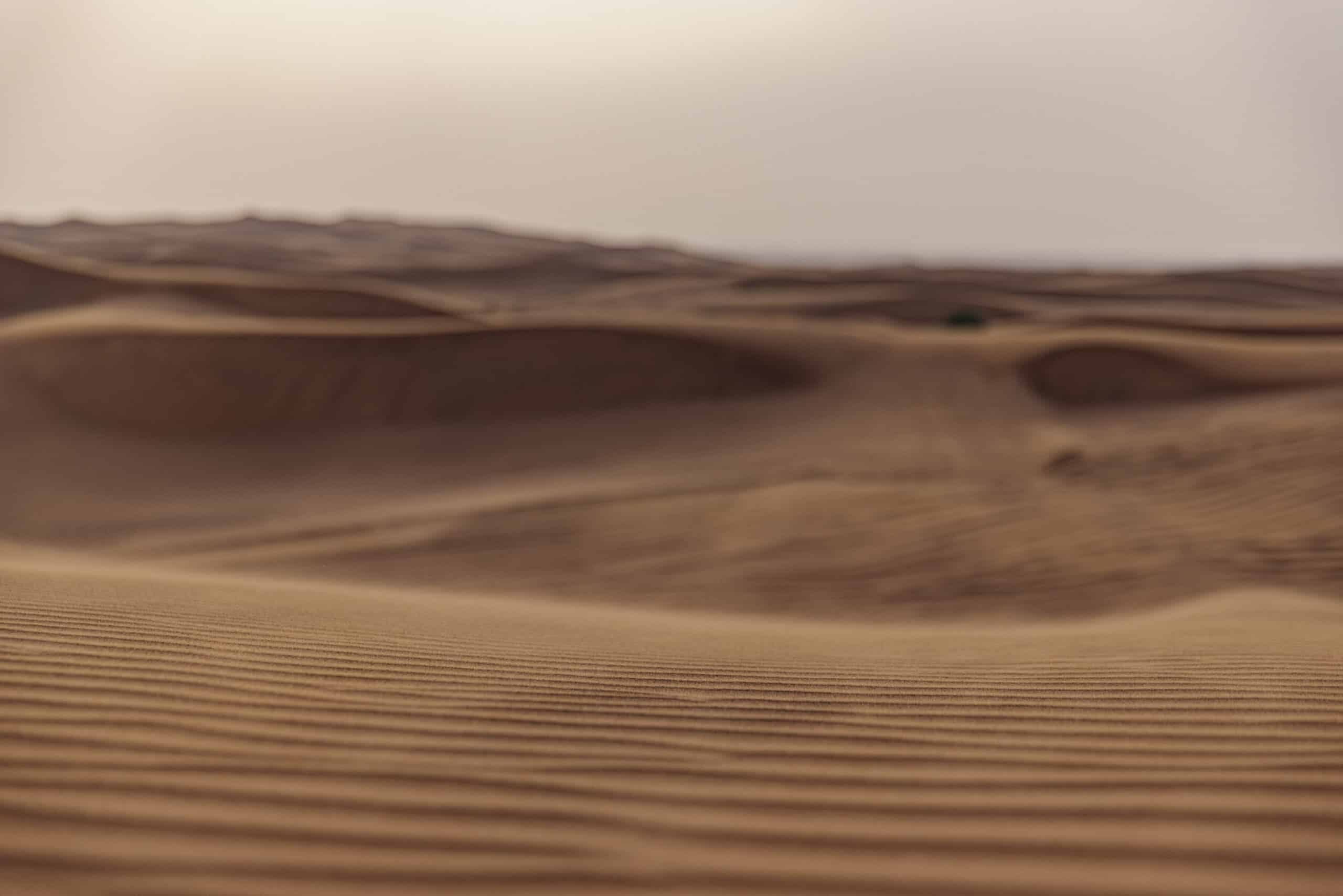 Sanft strukturierte Sanddünen mit sanften Graten und Vertiefungen, aus der Nähe betrachtet in einer warmen, dunstigen Wüstenlandschaft. Die gedämpften Töne und sanften Kurven schaffen eine ruhige Szene. © Fotografie Tomas Rodriguez