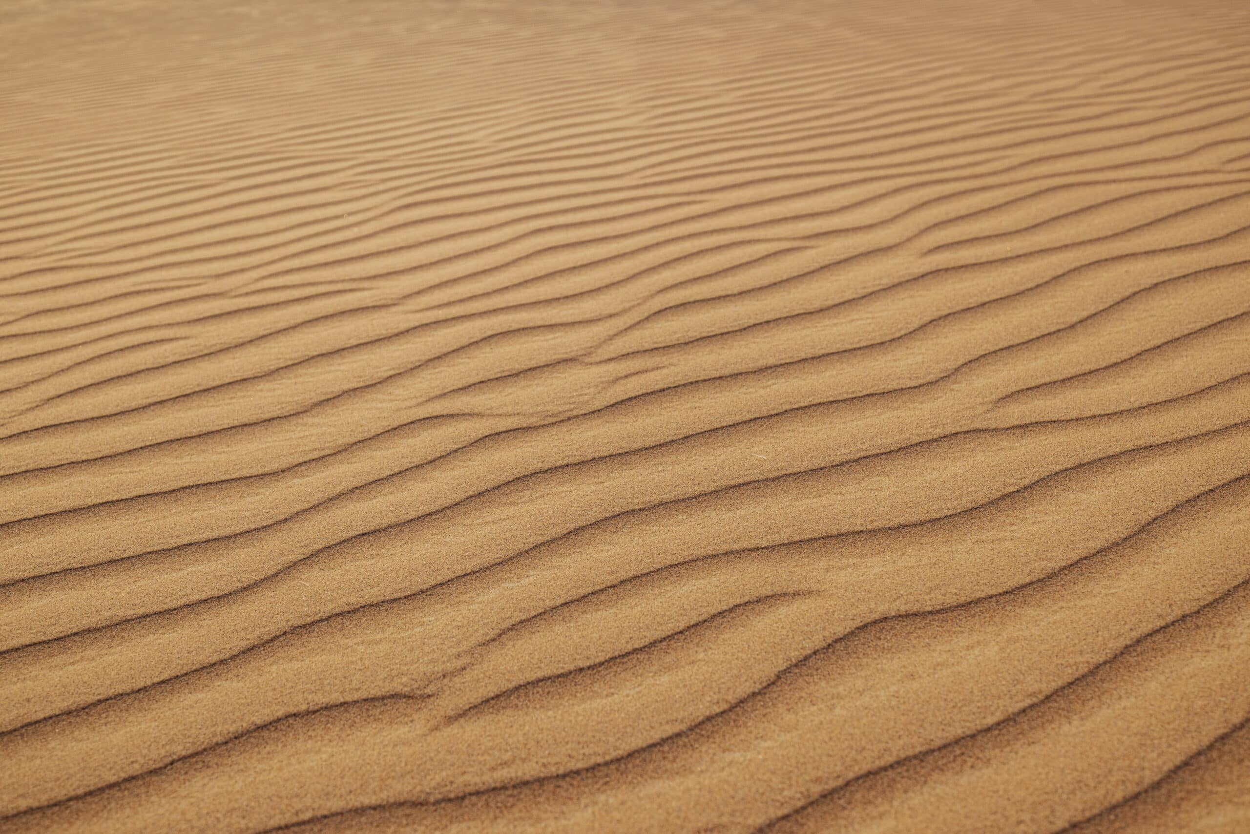 Nahaufnahme von gewellten Sanddünen mit natürlichem Wellenmuster, die die Textur und Details einer Wüstenlandschaft zeigen. © Fotografie Tomas Rodriguez