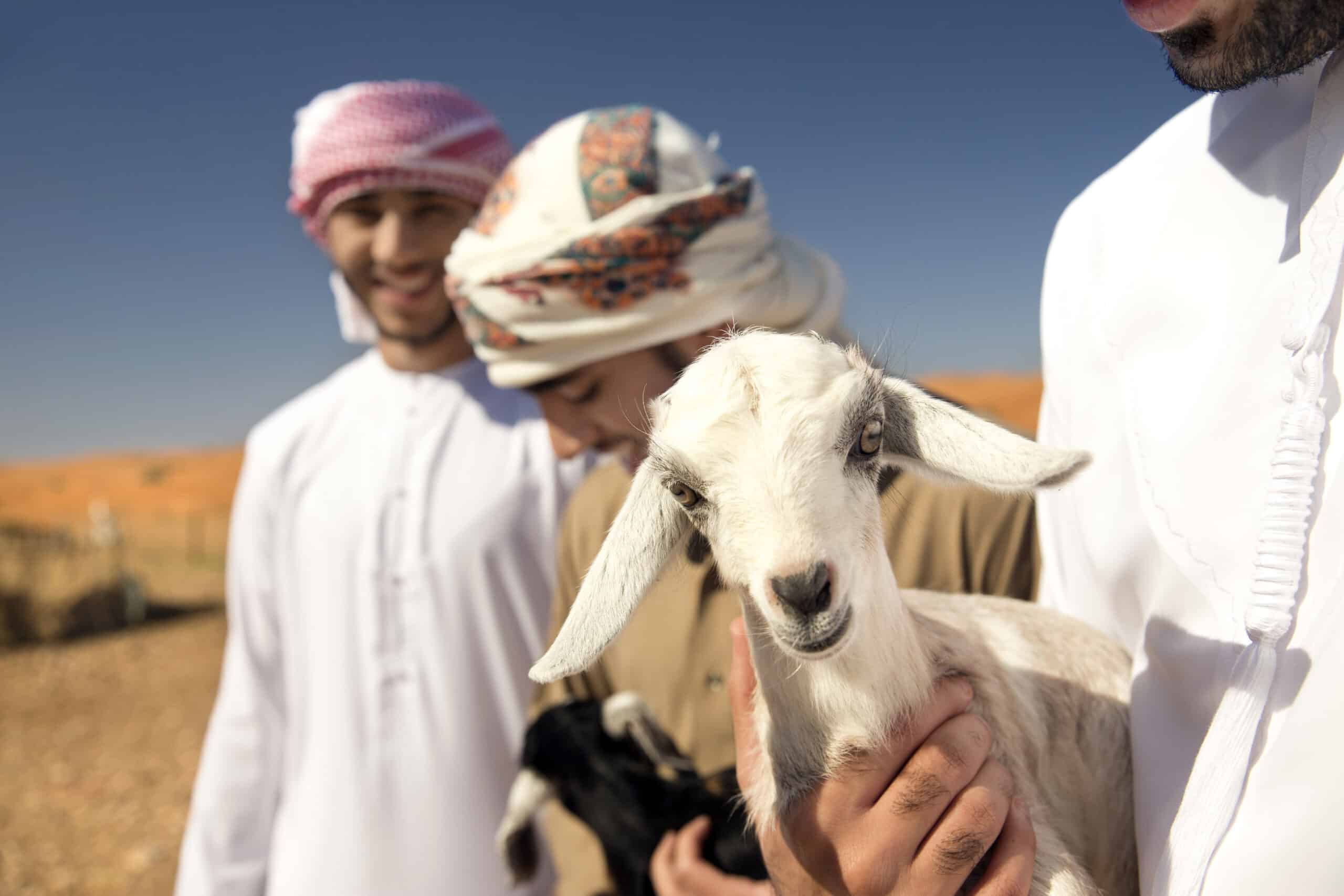Drei Männer in traditioneller Kleidung stehen in einer Wüstenlandschaft und lächeln, während einer von ihnen liebevoll eine kleine weiße Ziege hält. © Fotografie Tomas Rodriguez