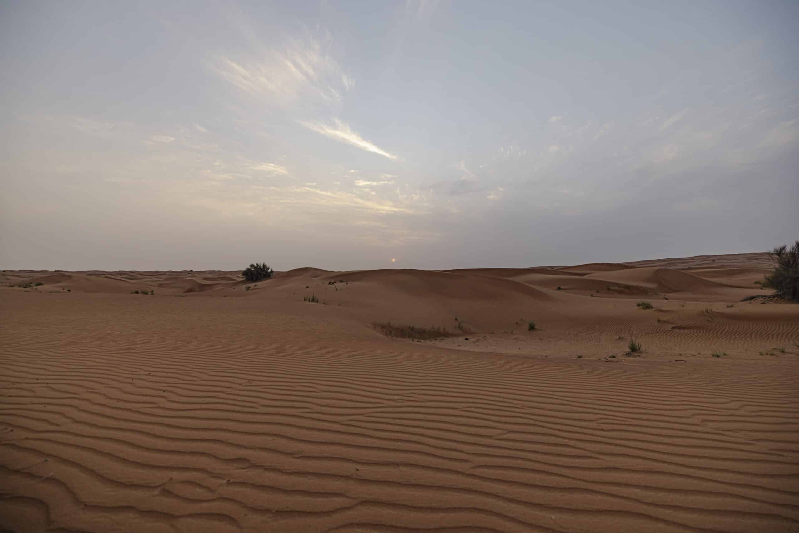 Eine ruhige Wüstenlandschaft unter einem bewölkten Himmel bei Sonnenuntergang, mit glatten, windgepeitschten Sanddünen mit spärlicher Vegetation. © Fotografie Tomas Rodriguez