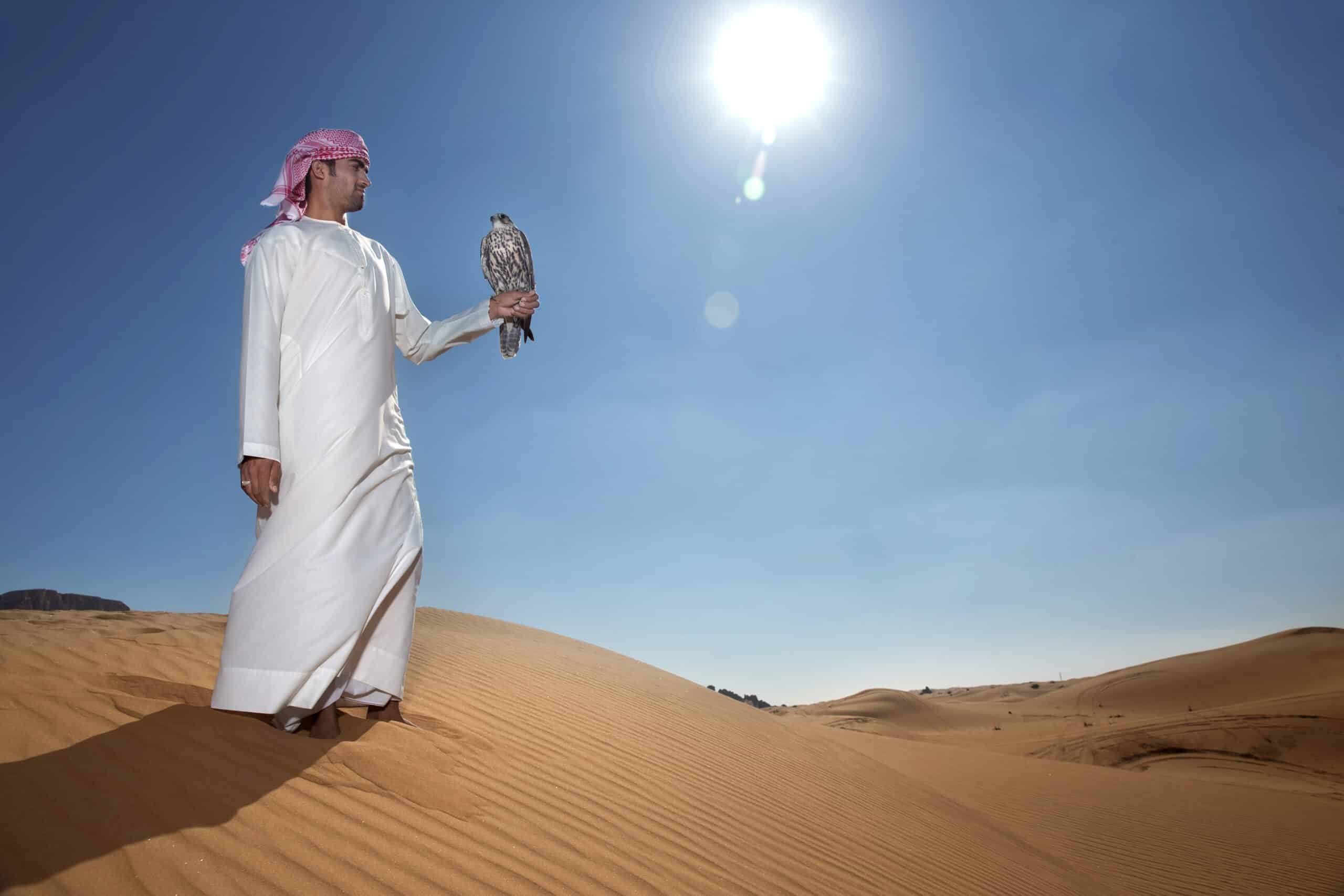 Ein Mann in traditioneller emiratischer Kleidung hält in einer Wüste unter der hellen Sonne einen Falken auf dem Arm. © Fotografie Tomas Rodriguez