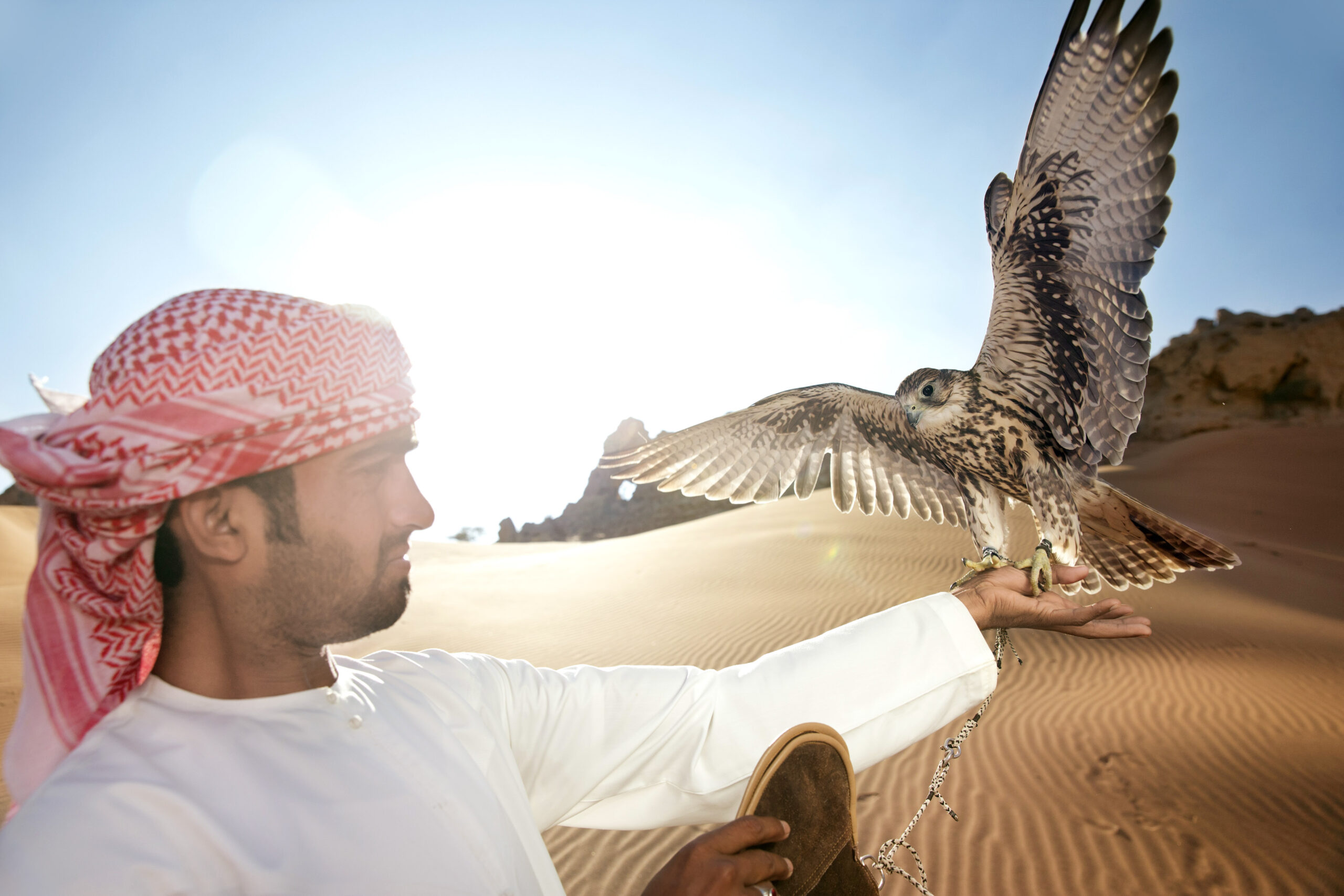 Ein Mann in traditioneller nahöstlicher Kleidung lässt in einer Wüstenlandschaft einen Falken frei; im Hintergrund scheint die Sonne, und Sanddünen sind zu sehen. © Fotografie Tomas Rodriguez