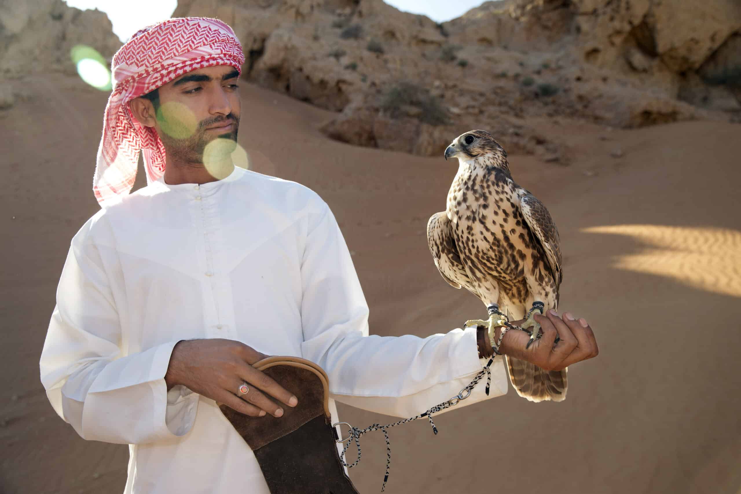 Ein Mann in traditioneller Kleidung, mit Kufiya und weißem Gewand, hält in einer Wüstenlandschaft einen Falken auf seiner behandschuhten Hand. © Fotografie Tomas Rodriguez