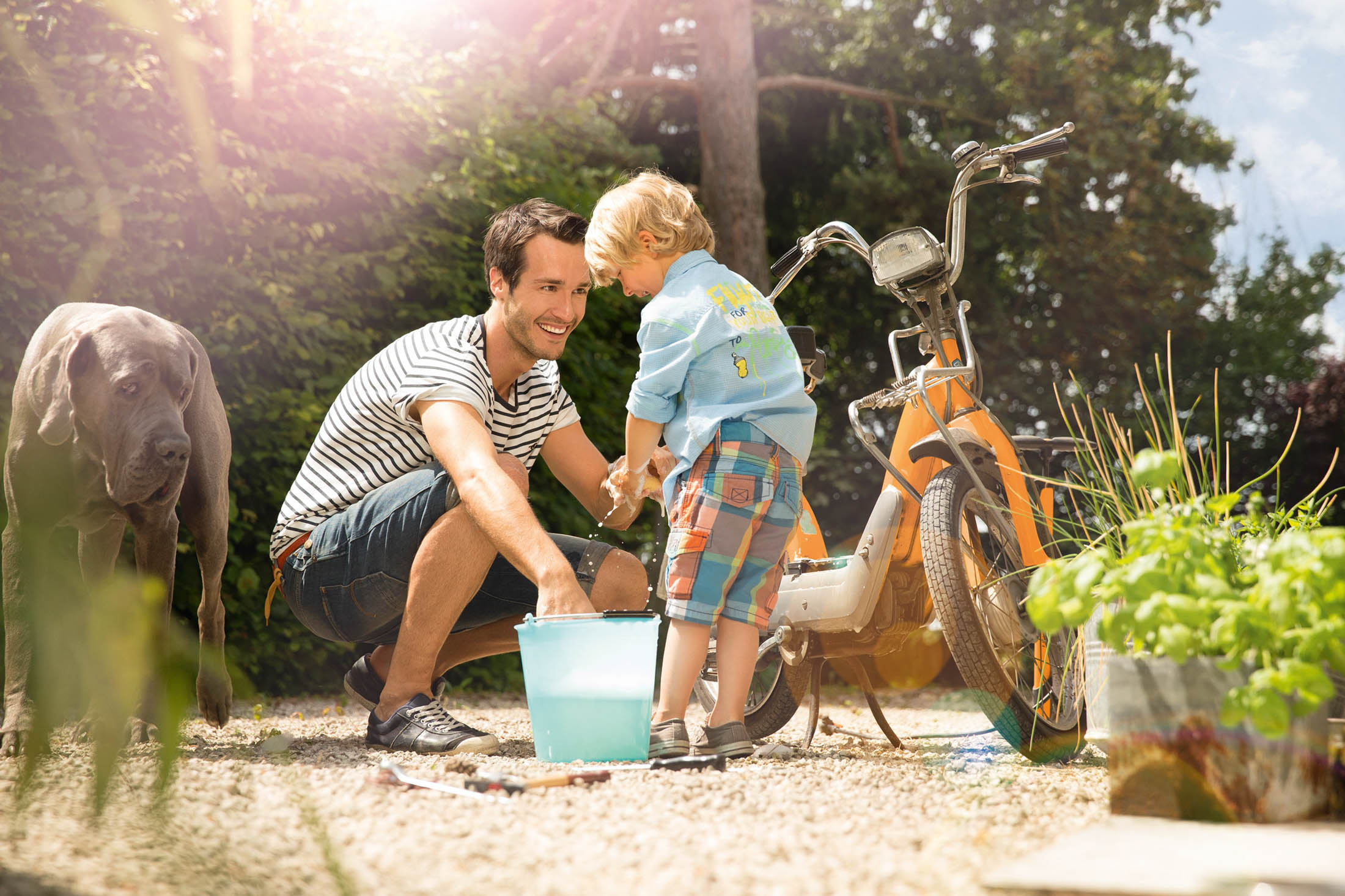 Ein Mann und ein kleines Kind waschen in einem sonnigen Garten ein Fahrrad. Ein Hund steht daneben. Der Mann lächelt das Kind an, das einen Schwamm über einen Eimer hält. Sonnenflecken fallen durch das üppige Grün. © Fotografie Tomas Rodriguez