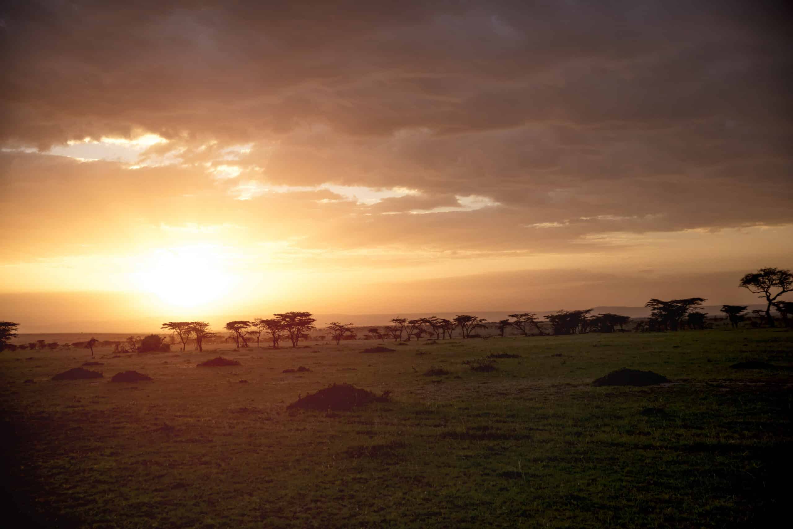 Sonnenuntergang über einer afrikanischen Savanne, der einen warmen Glanz über die Landschaft mit Silhouetten von Akazienbäumen und einem leuchtenden Himmel wirft. © Fotografie Tomas Rodriguez