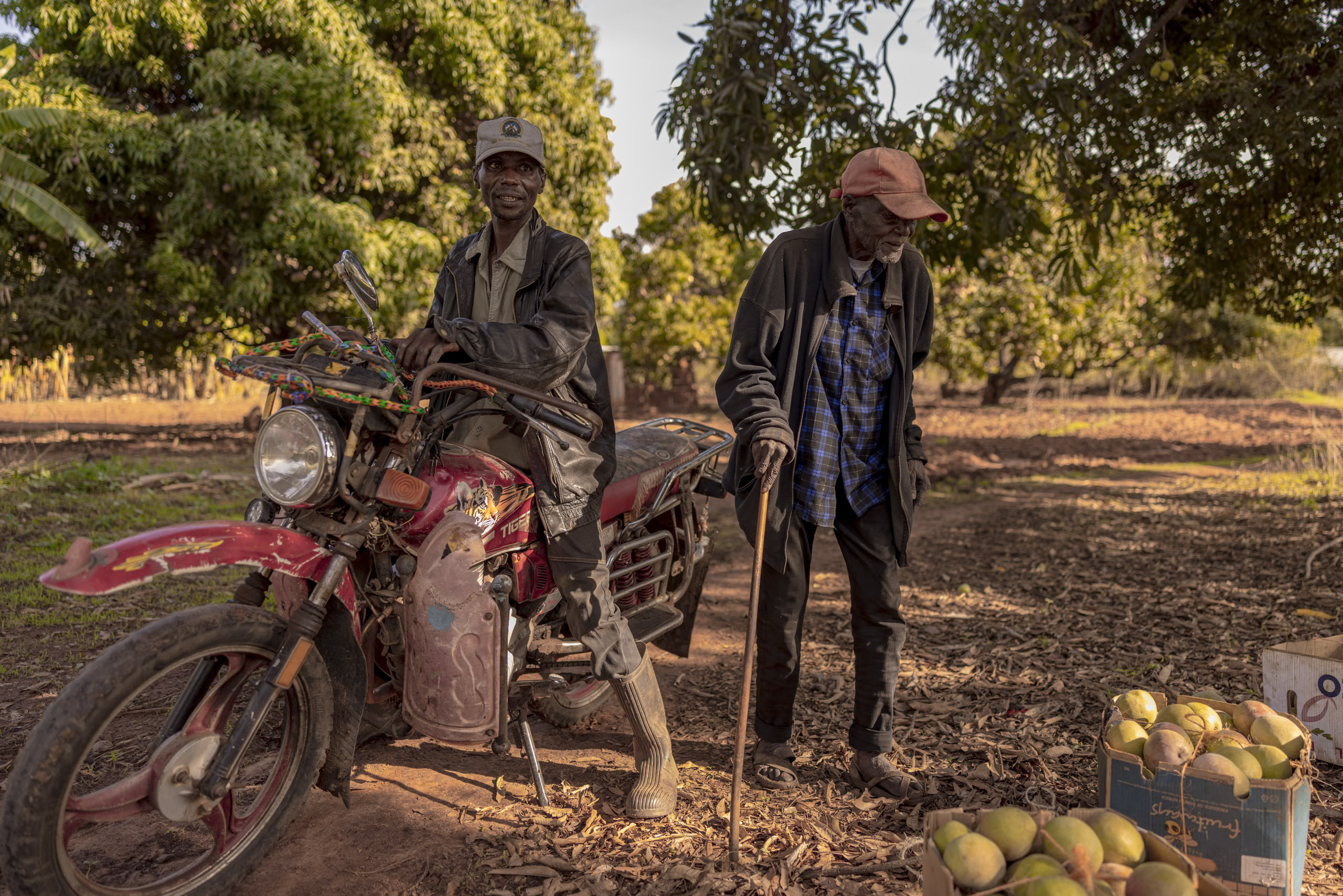 Zwei ältere Männer in ländlicher Umgebung, einer steht neben einem Motorrad, der andere neben einem Stapel Mangos zum Verkauf. Im Hintergrund Bäume und Feldweg. © Fotografie Tomas Rodriguez