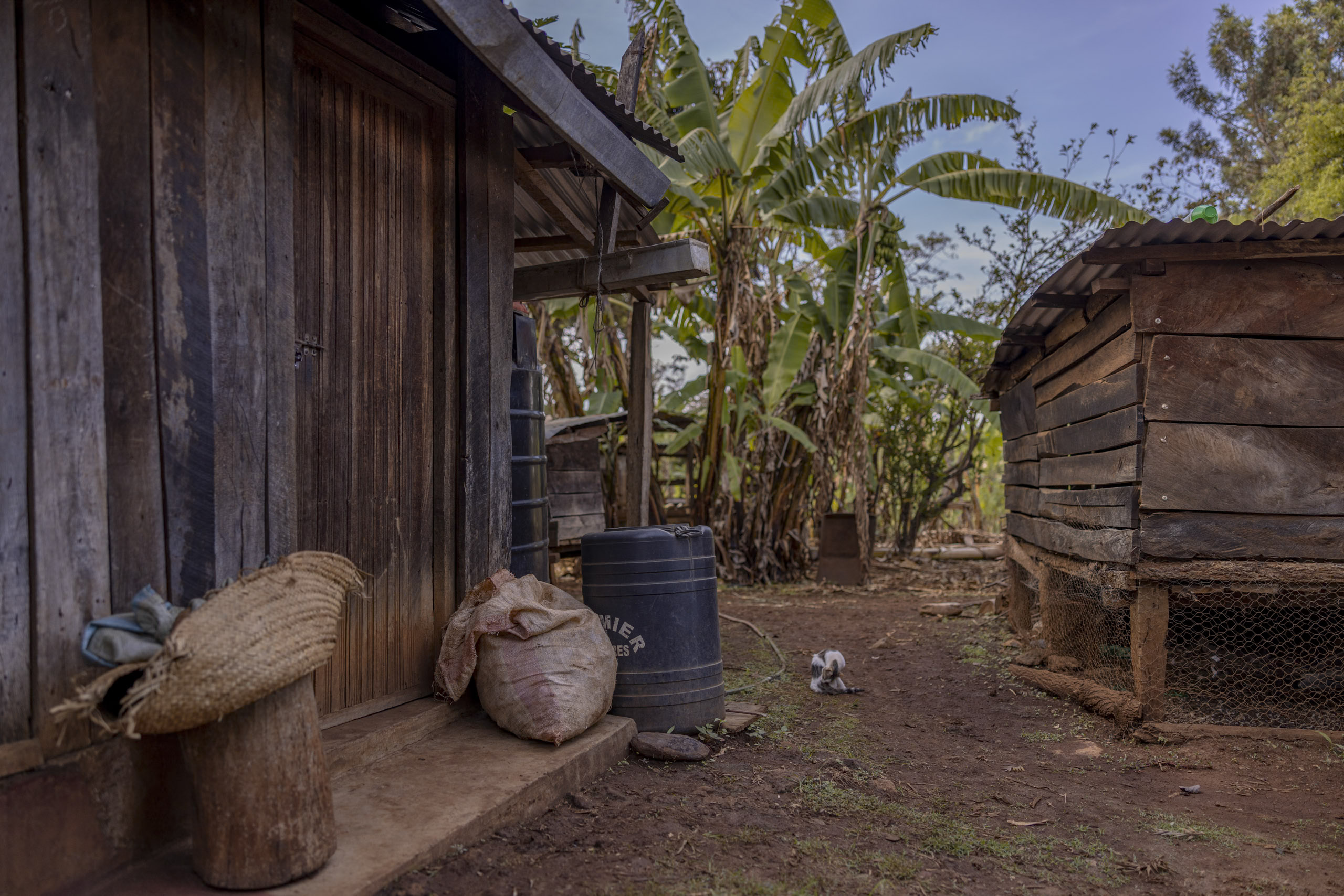 Rustikales Holzhaus und Lagerschuppen in ländlicher Umgebung mit einem blauen Fass, geflochtenen Körben und Säcken am Eingang, umgeben von Bananenbäumen. © Fotografie Tomas Rodriguez