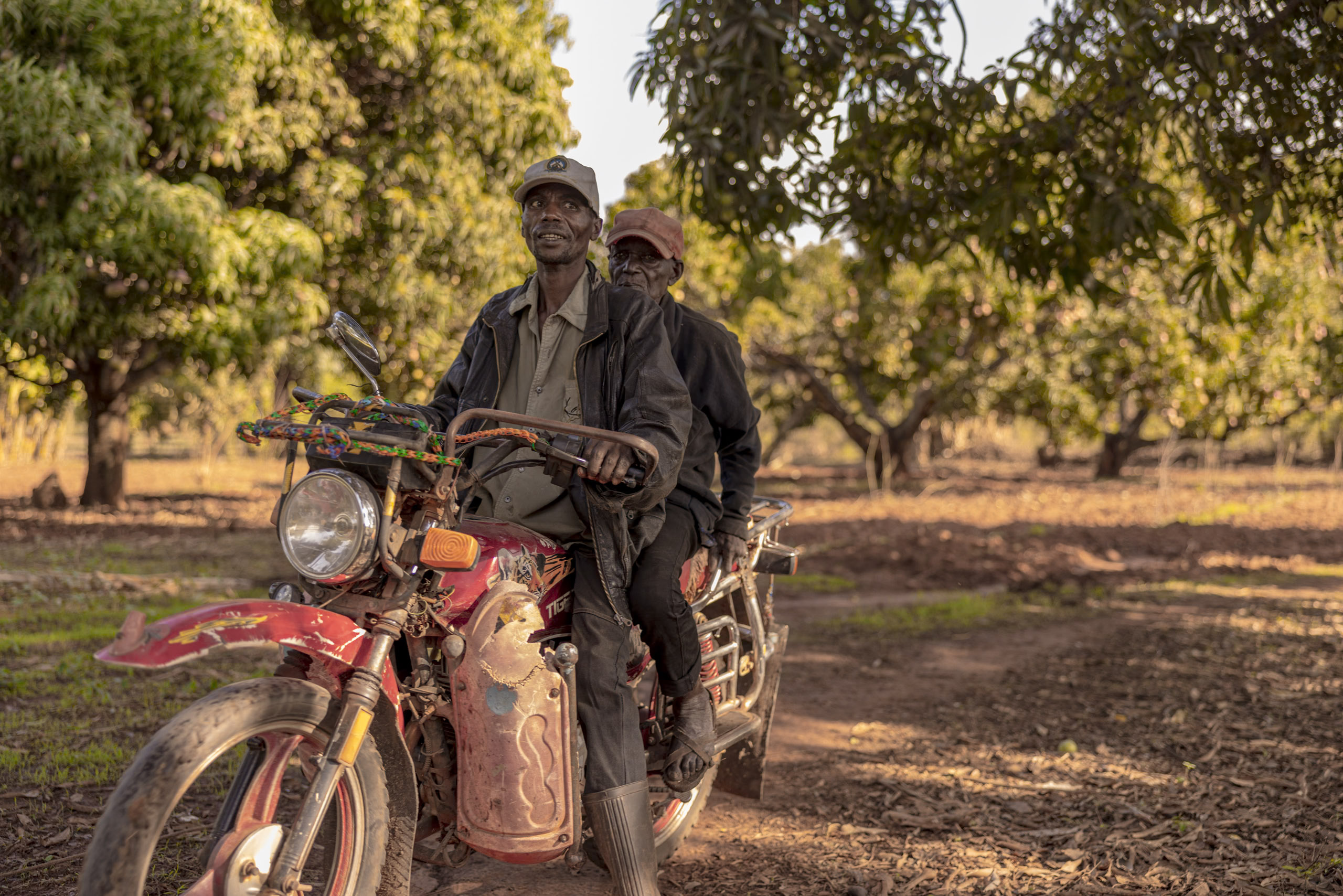 Zwei Männer auf einem Motorrad unter Mangobäumen in ländlicher Umgebung, der Mann vorn lächelt in die Kamera, getaucht in sanftes Sonnenlicht. © Fotografie Tomas Rodriguez