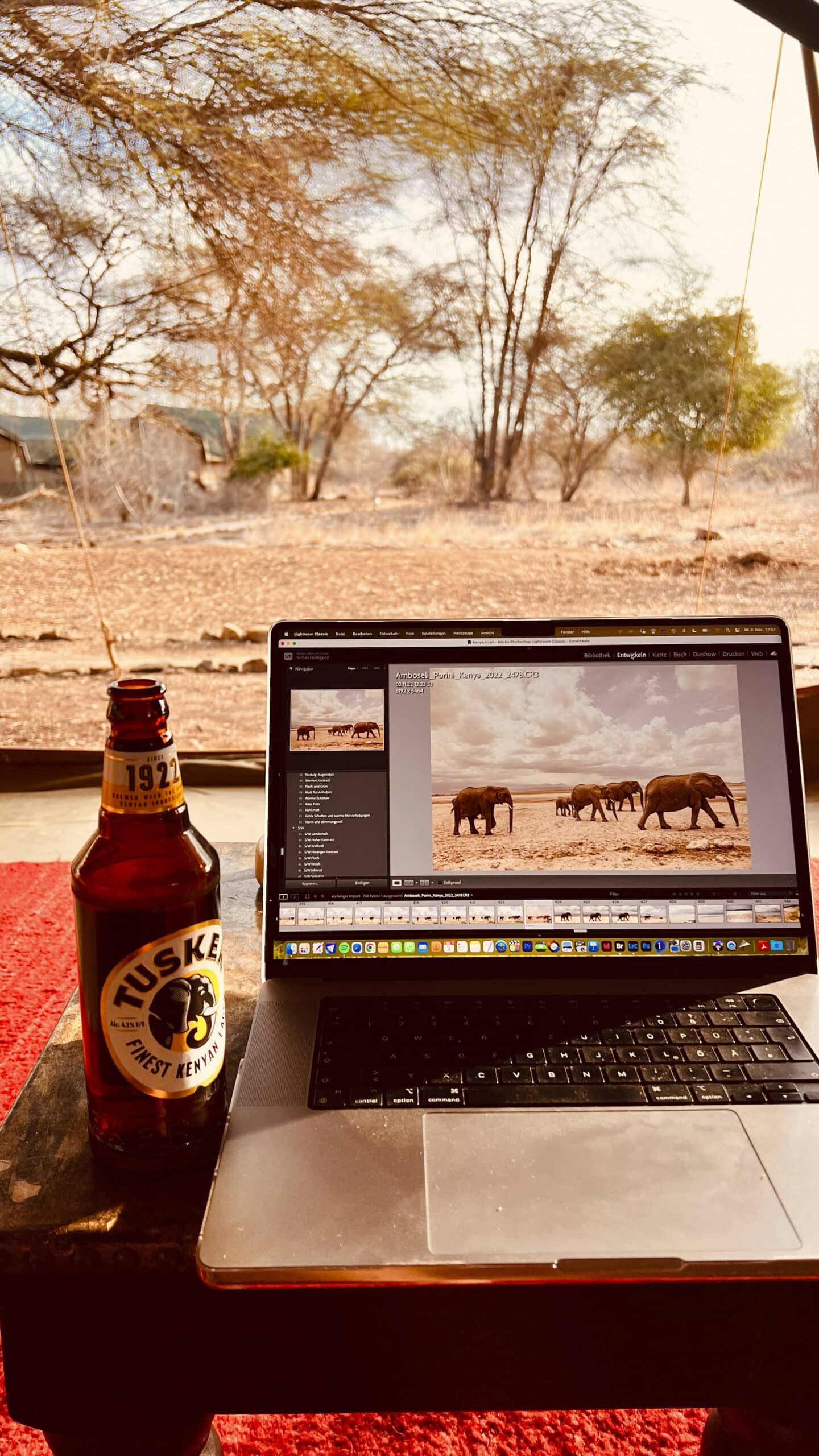 Auf einem kleinen Tisch steht ein Laptop mit einem Foto von Elefanten in freier Wildbahn. Daneben steht eine Flasche Tusker-Bier. Die Szene spielt sich drinnen vor einem großen Fenster ab, das auf eine trockene Landschaft mit vereinzelten Bäumen blickt. Darunter ist teilweise ein roter Teppich zu sehen. © Fotografie Tomas Rodriguez