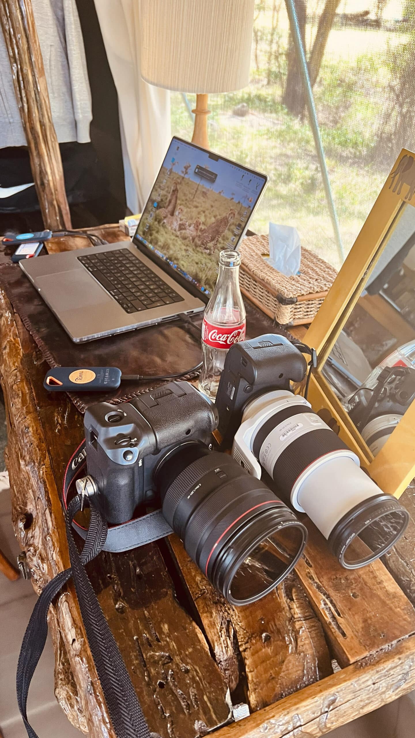 Auf einem vollgestopften Holzschreibtisch stehen zwei DSLR-Kameras mit großen Objektiven, ein Laptop mit einer Naturszene, eine leere Coca-Cola-Flasche, eine kleine Fernbedienung und eine Taschentuchbox. Die Szene wird von einer danebenstehenden Lampe beleuchtet und scheint in einer rustikalen Umgebung im Freien angesiedelt zu sein. © Fotografie Tomas Rodriguez