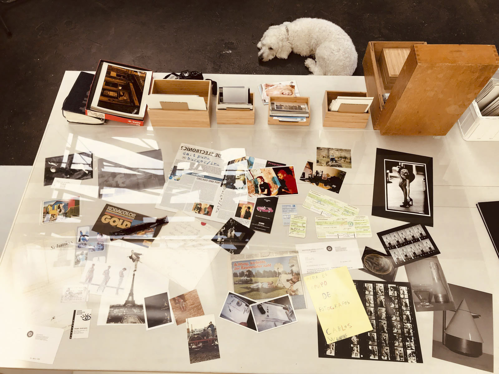 Ein überladener Schreibtisch, auf dem verschiedene Fotos, Notizen und Filmnegative verteilt sind. Auf dem Schreibtisch liegen Holzkisten und kleine Bücher. In der Nähe liegt ein weißer Hund zusammengerollt auf dem Boden. Die Szene lässt auf einen kreativen oder Forschungsarbeitsplatz schließen. © Fotografie Tomas Rodriguez