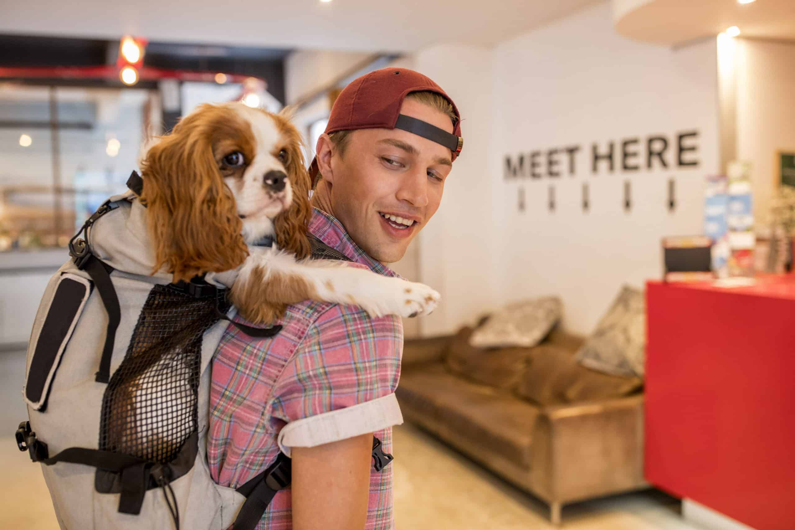 Ein lächelnder Mann mit einer roten Mütze trägt einen Cavalier King Charles Spaniel in einer rucksackähnlichen Transportbox in einem modernen Café mit einem „Treffen hier“-Schild im Hintergrund. © Fotografie Tomas Rodriguez