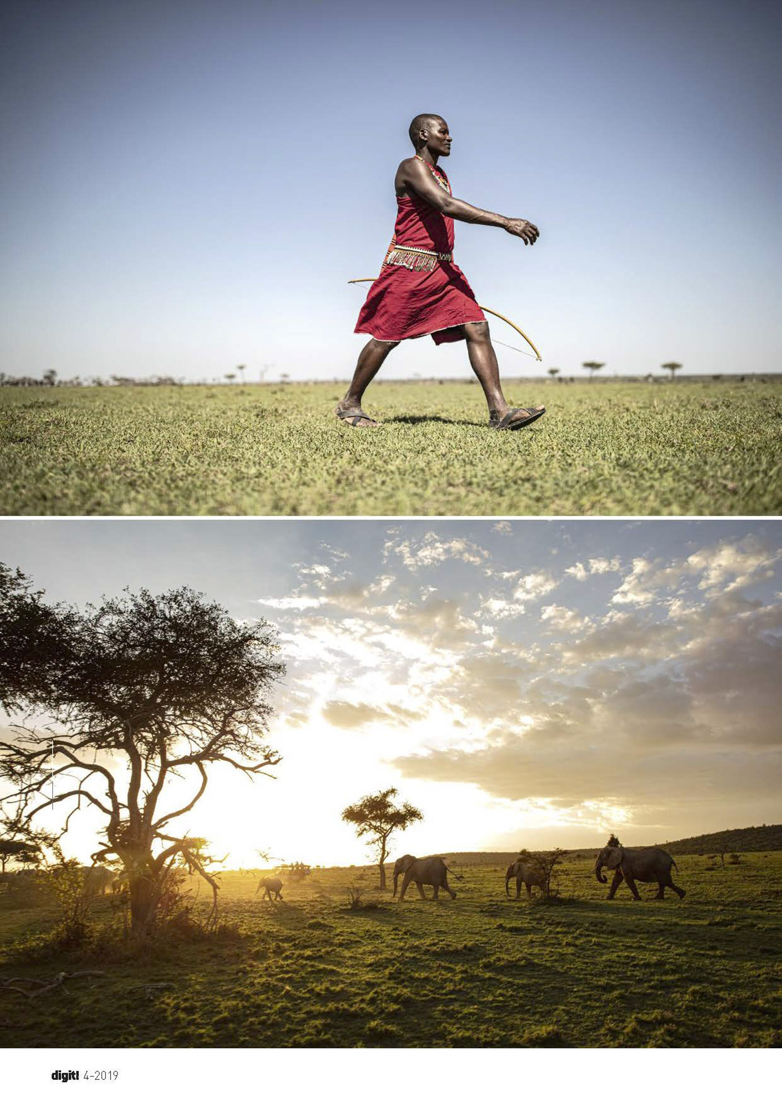 Oben: Ein Massai-Mann in traditioneller Kleidung geht mit einem Stab unter klarem Himmel über eine Wiese. Unten: Silhouetten von Bäumen und grasenden Pferden in der Abenddämmerung. © Fotografie Tomas Rodriguez