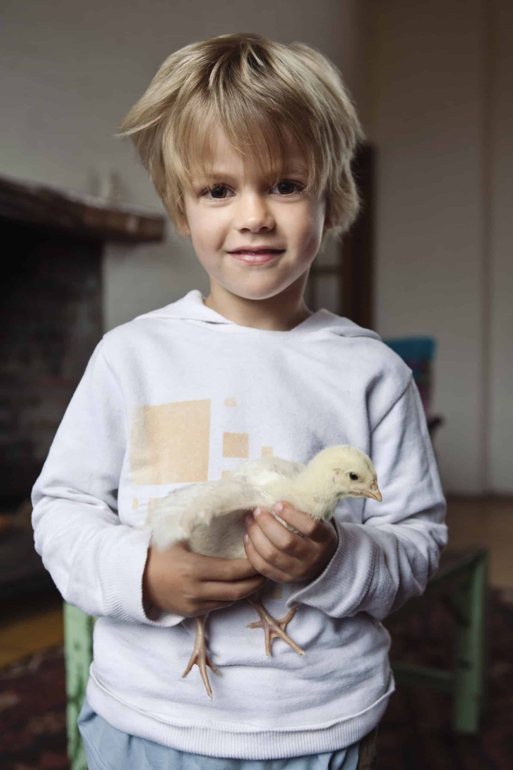 Ein kleines Kind mit blondem Haar und einem hellen Sweatshirt hält ein kleines gelbes Küken in den Händen. Im Hintergrund ist eine Inneneinrichtung mit Kamin und Möbeln zu sehen. Das Kind steht in der Mitte des Bildes und lächelt in die Kamera. © Fotografie Tomas Rodriguez