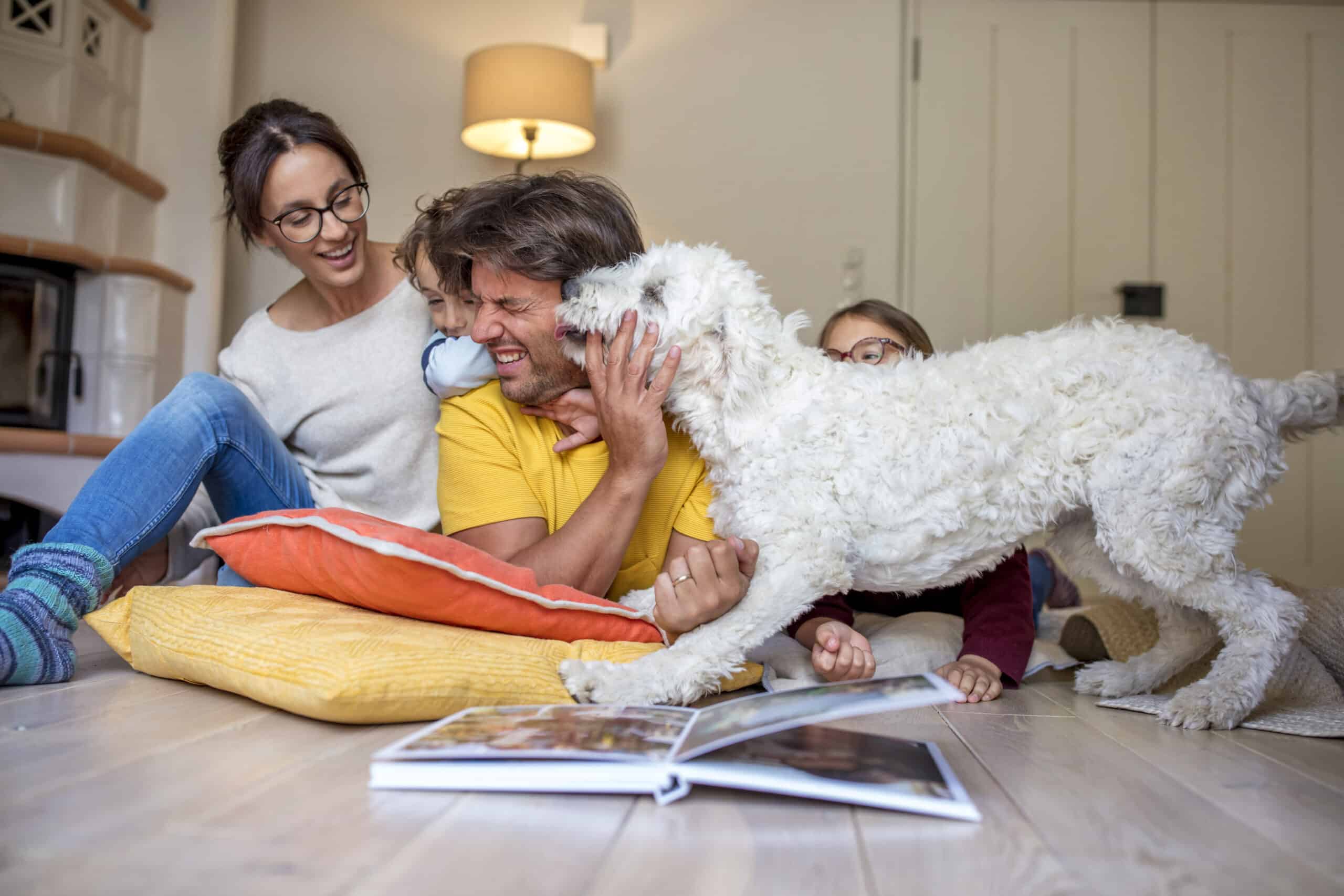 Eine glückliche Familie genießt die gemeinsame Zeit auf dem Boden, vor ihnen liegt ein aufgeschlagenes Fotoalbum. Ein großer, lockiger weißer Hund spielt liebevoll mit dem Mann in der Mitte, während zwei Frauen, eine jüngere und eine ältere, lächeln und zuschauen. © Fotografie Tomas Rodriguez
