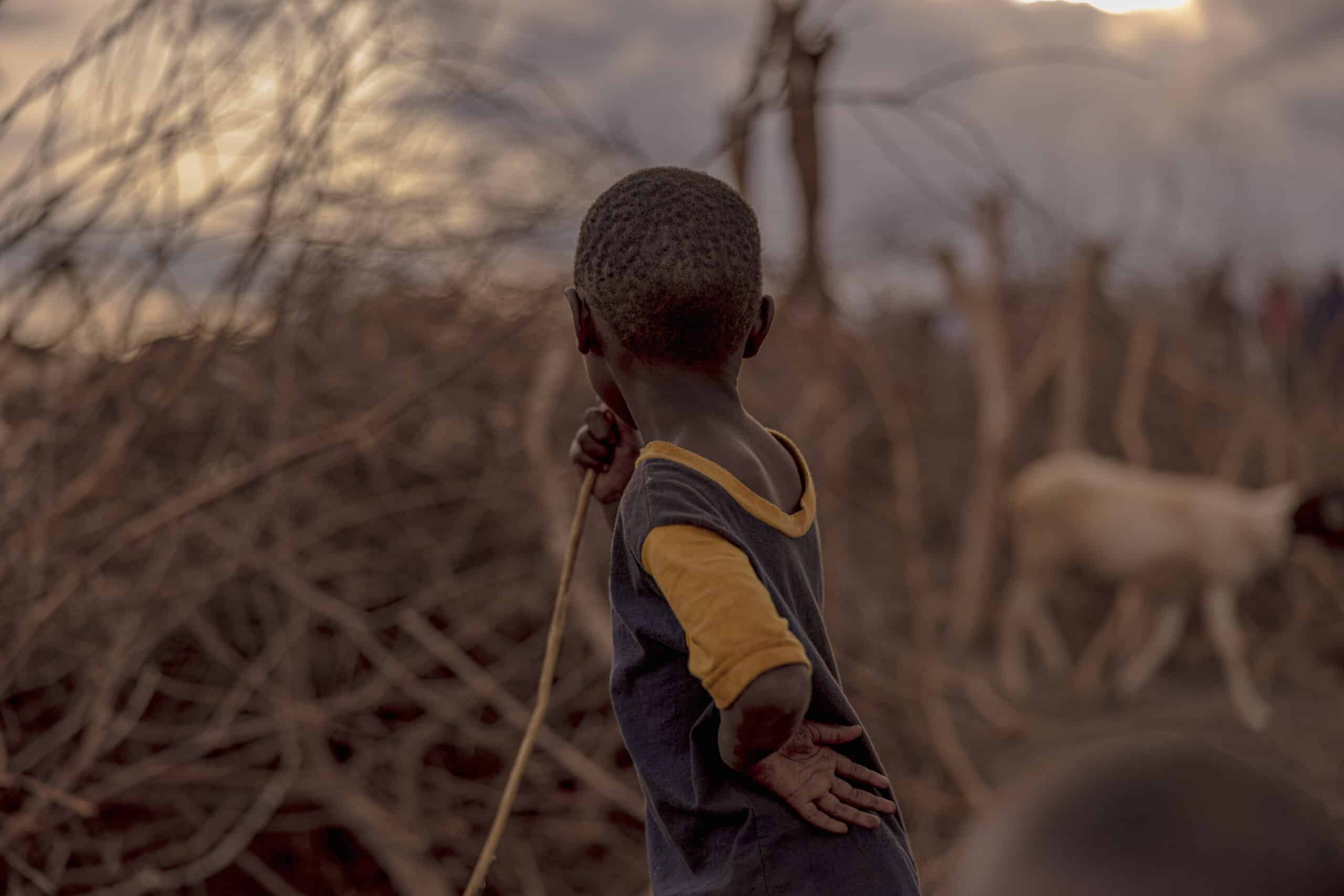 Ein kleines Kind von hinten, das in einer trockenen Landschaft mit spärlicher Vegetation steht und in Richtung einer Ziege blickt. Das Kind trägt ein blau-gelbes Hemd und hält einen Stock. © Fotografie Tomas Rodriguez