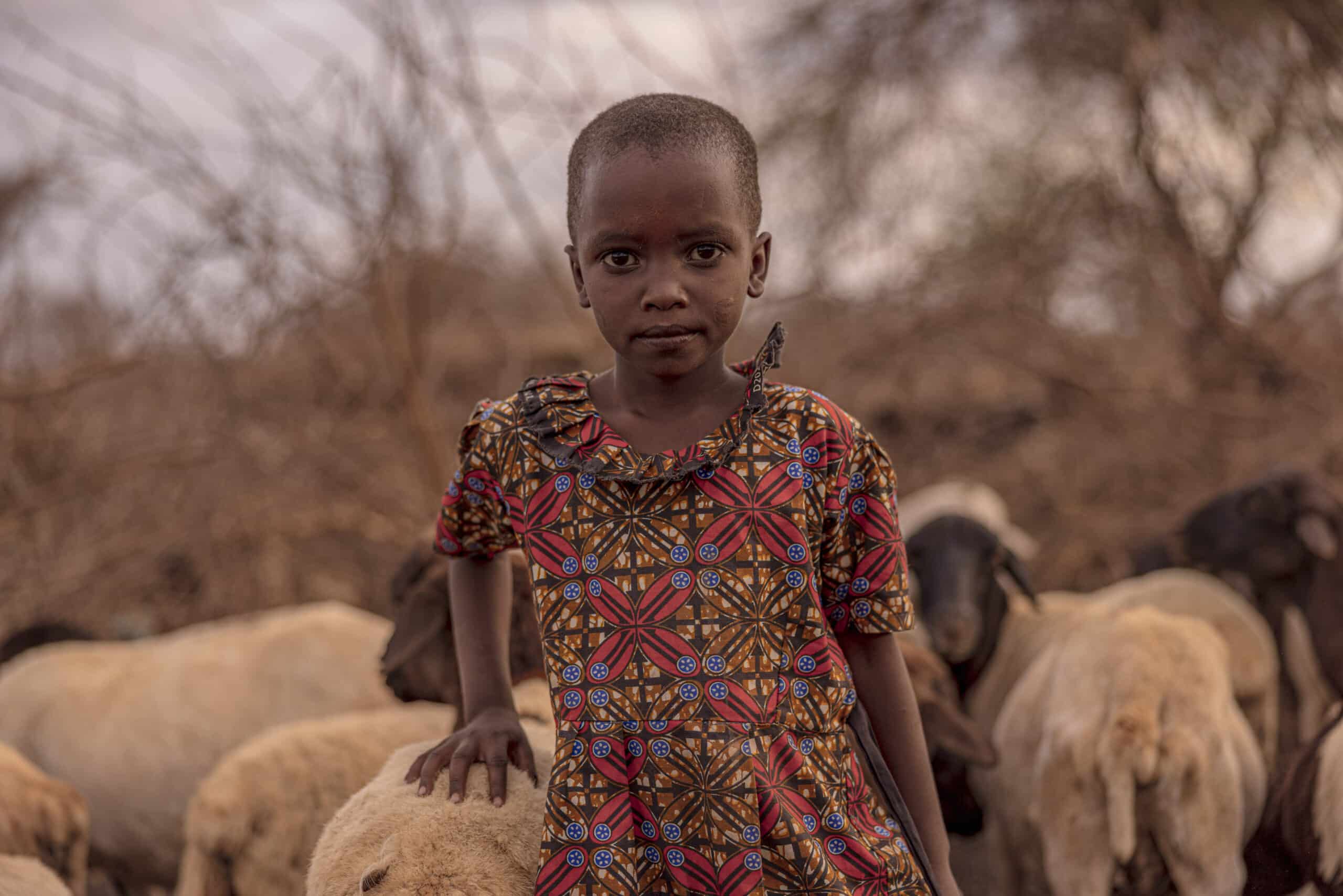 Ein kleines Kind in einem bunten Kleid steht inmitten einer Schafherde in einer ländlichen Umgebung, mit ruhigem Gesichtsausdruck und spärlicher Vegetation im Hintergrund. © Fotografie Tomas Rodriguez