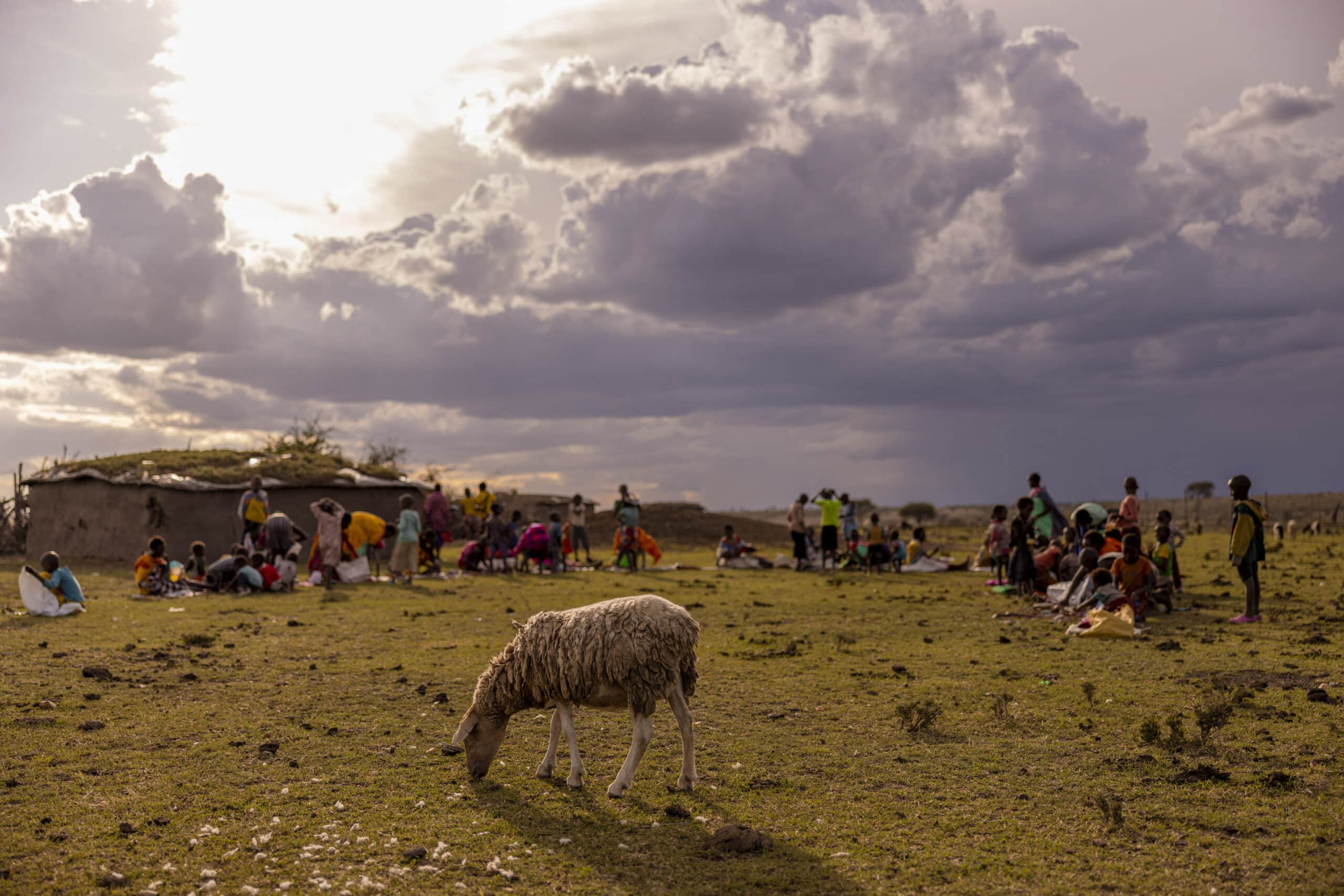 Im Vordergrund grast ein einsames Schaf. Eine Gruppe von Menschen, darunter bunt gekleidete Kinder, hat sich bei Sonnenuntergang unter einem bewölkten Himmel in der Nähe einer einfachen Behausung versammelt. © Fotografie Tomas Rodriguez