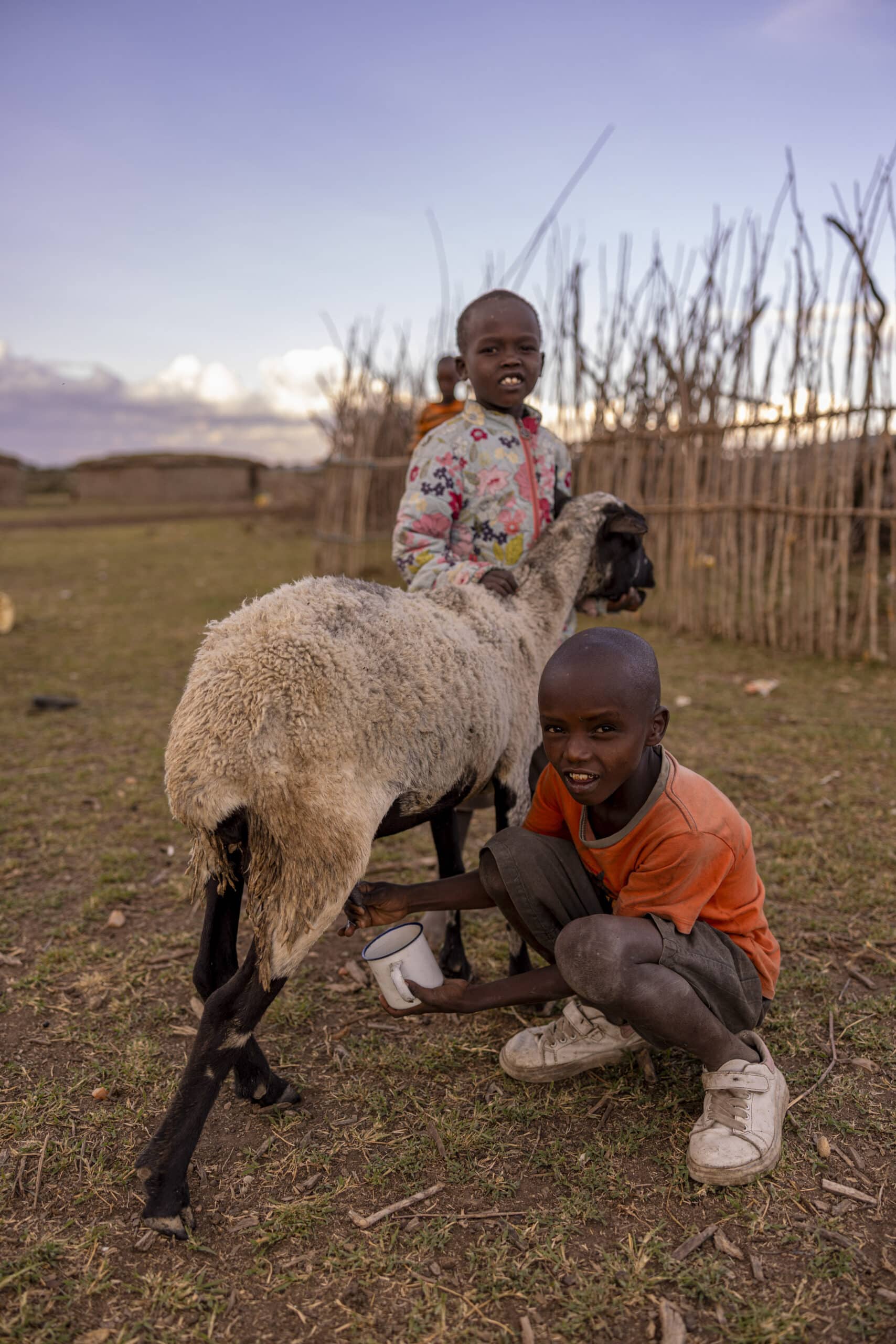 Zwei Kinder, eines stehend und eines kniend, interagieren mit einem Schaf in einer ländlichen Landschaft. Vor dem Hintergrund von Grasfeldern und spärlichen Zäunen wirken sie engagiert und glücklich. © Fotografie Tomas Rodriguez