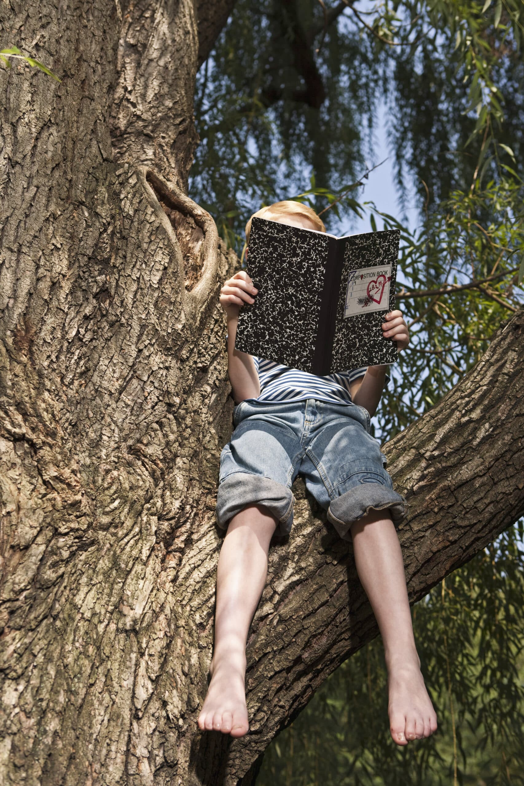 Ein Kind in gestreiftem Hemd und Jeansshorts sitzt barfuß auf einem großen Ast und liest vertieft ein Notizbuch mit schwarz-weiß marmoriertem Einband und einem darauf gemalten roten Herz. Im Hintergrund sind grüne, belaubte Zweige vor einem klaren blauen Himmel zu sehen. © Fotografie Tomas Rodriguez