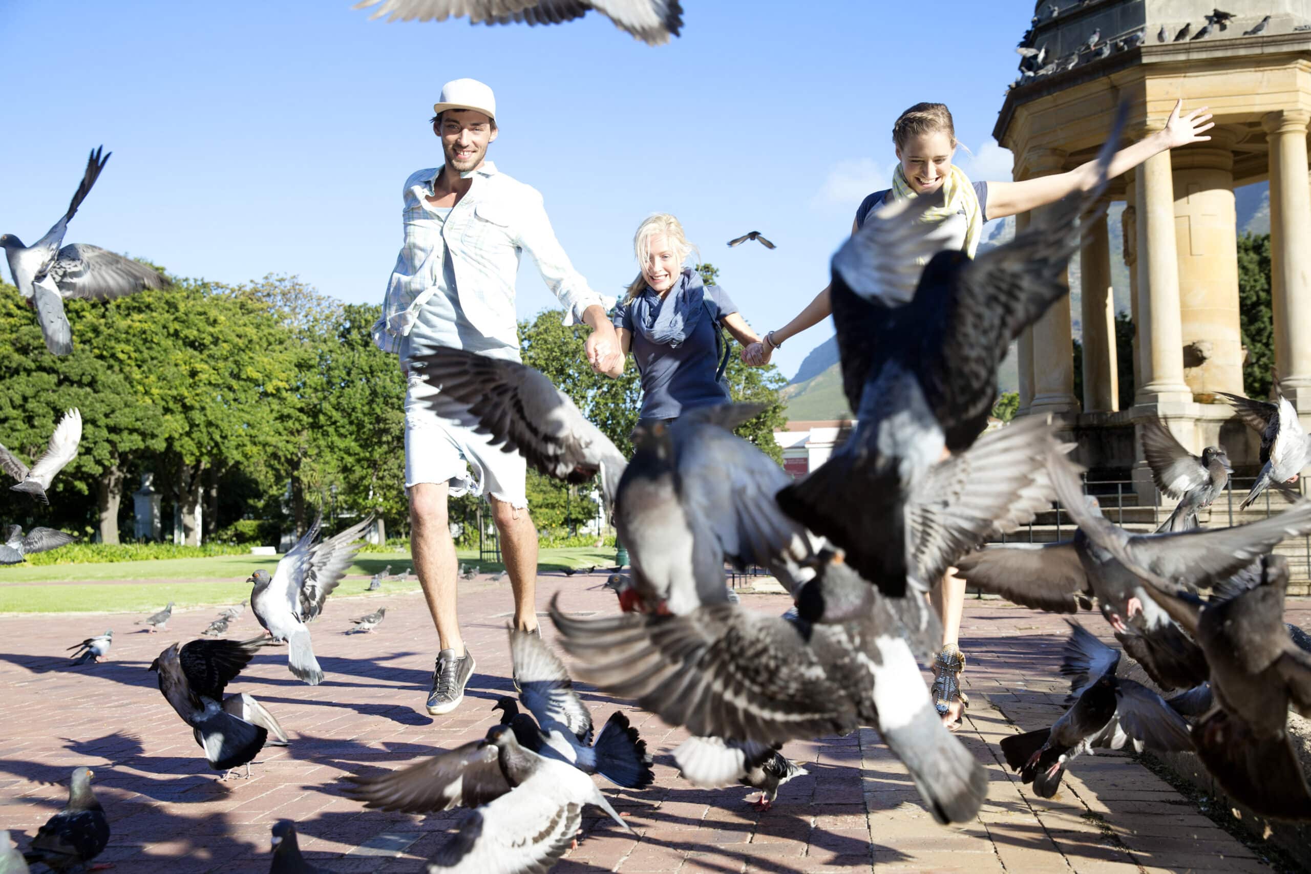 Drei Menschen halten sich an den Händen und laufen durch einen Park, wobei sie einen Schwarm Tauben um sich herum aufscheuchen. Sie wirken fröhlich und verspielt, mit viel Grün und einem Pavillon im Hintergrund unter einem klaren blauen Himmel. © Fotografie Tomas Rodriguez
