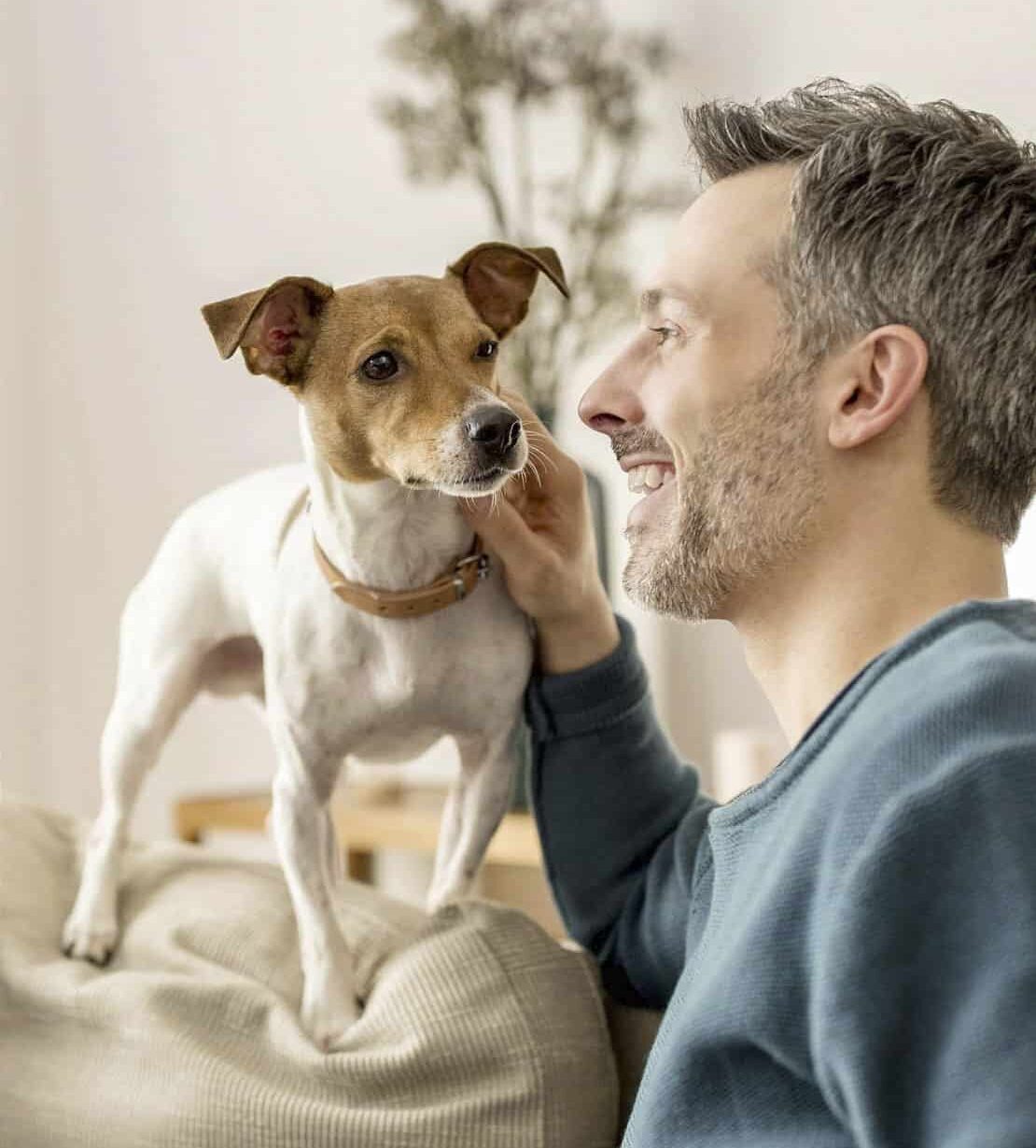 Ein Mann lächelt einen kleinen Hund mit braun-weißem Fell an und streichelt ihm sanft das Kinn. Der Hund steht auf einem Sofa und im Hintergrund ist eine verschwommene Pflanze zu sehen. © Fotografie Tomas Rodriguez