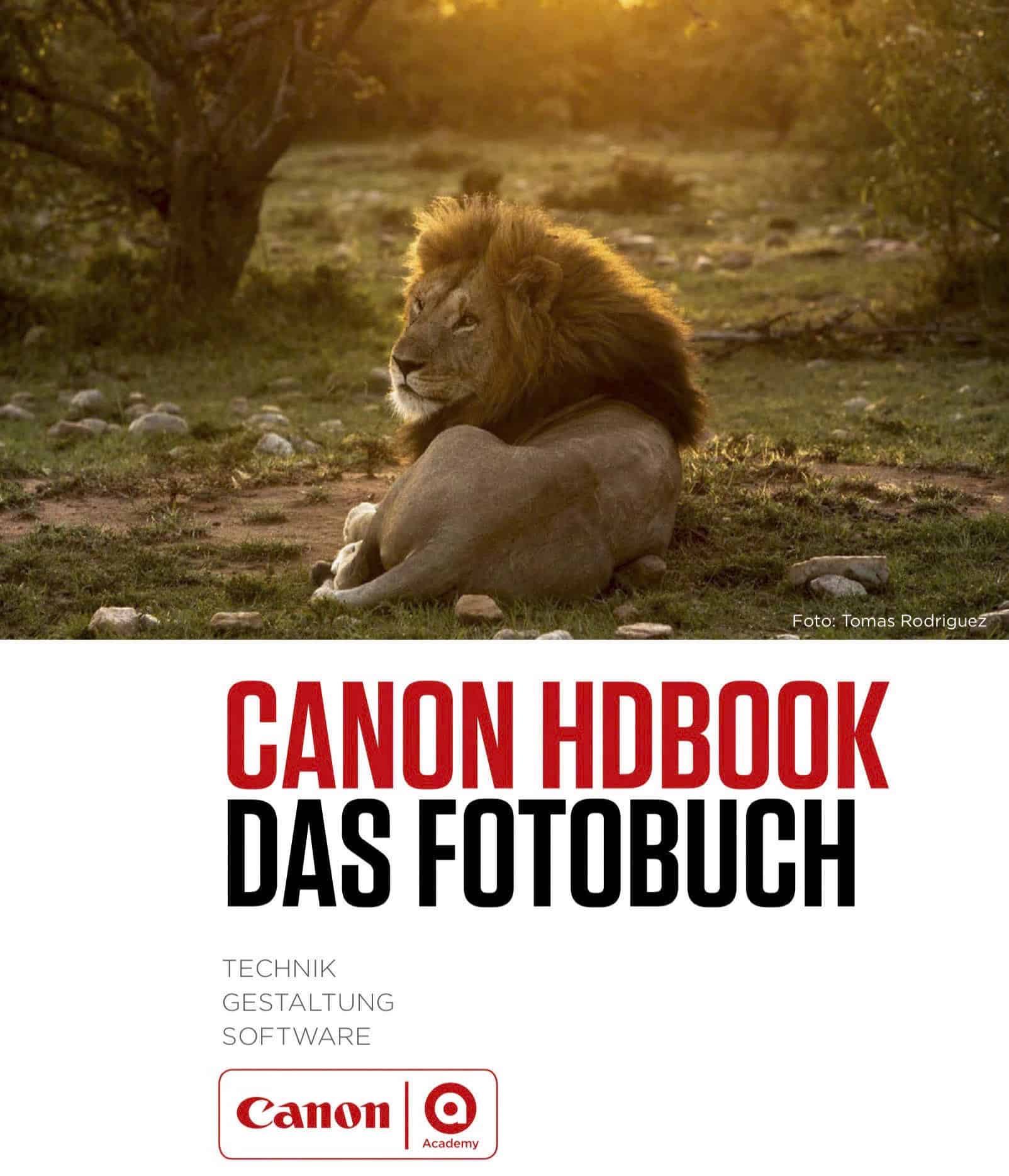 Ein Löwe liegt im Gras in einer sonnenbeschienenen Gegend. Der untere Teil des Bildes zeigt den Text: „Canon HDbook – Das Fotobuch Technik Gestaltung Software“ mit den Logos von Canon und Academy. © Fotografie Tomas Rodriguez