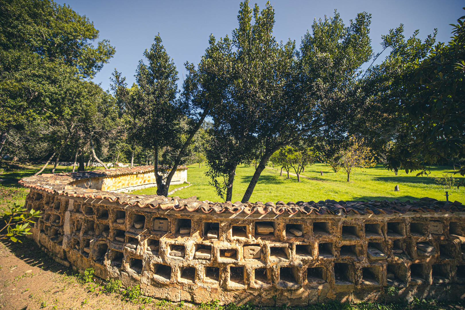 Eine niedrige Steinmauer mit vielen rechteckigen Löchern verläuft durch einen grasbewachsenen Park mit vereinzelten Bäumen unter einem klaren blauen Himmel. Das Sonnenlicht wirft Schatten auf die Szene. © Fotografie Tomas Rodriguez