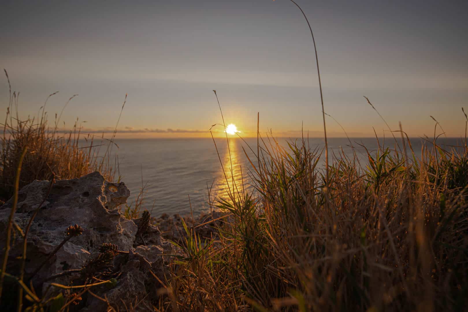 Sonnenuntergang über dem Meer, gesehen durch hohes, trockenes Gras und felsiges Gelände an einer Küstenklippe, wobei die Sonne einen goldenen Widerschein auf das Wasser wirft. © Fotografie Tomas Rodriguez