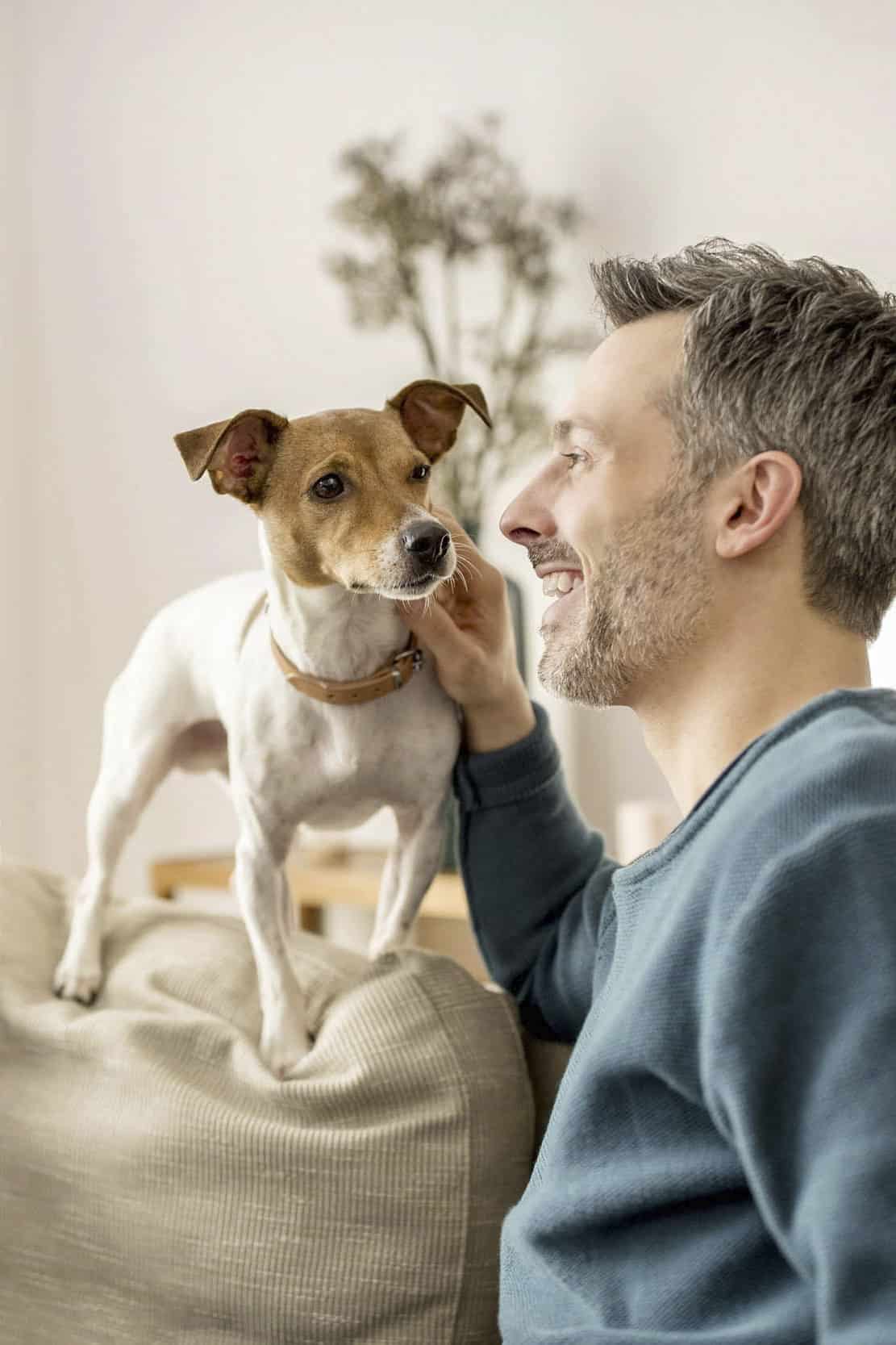 Ein Mann mit kurzen braunen Haaren und einem Bart lächelt, während er einen kleinen braunen und weißen Hund streichelt, der auf einer beigen Couch in einem Haus steht. Der Hintergrund ist sanft beleuchtet und eine Pflanze ist zu sehen. © Fotografie Tomas Rodriguez