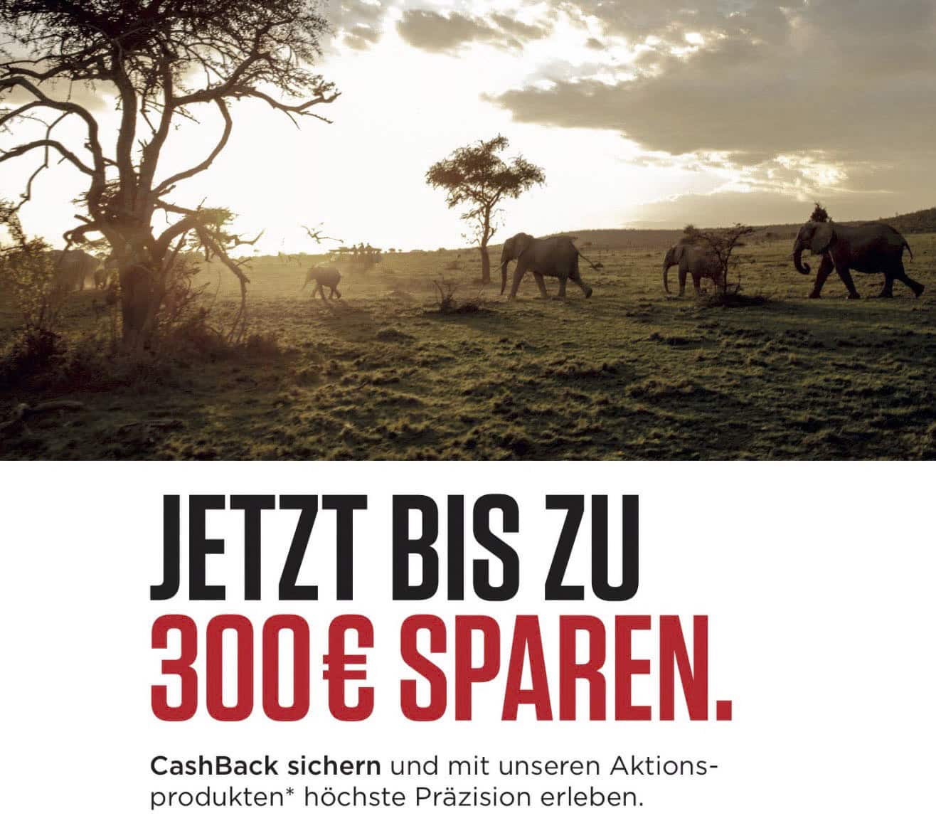 Eine Gruppe von Elefanten läuft bei Sonnenuntergang über eine Graslandschaft, in der sich die Bäume gegen den Himmel abheben. Der Text darunter lautet: "Jetzt bis zu 300€ sparen. CashBack sichern und mit unseren Aktionsprodukten* höchste Präzision erleben. © Fotografie Tomas Rodriguez
